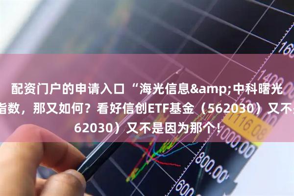 配资门户的申请入口 “海光信息&中科曙光”权重不及指数，那又如何？看好信创ETF基金（562030）又不是因为那个！