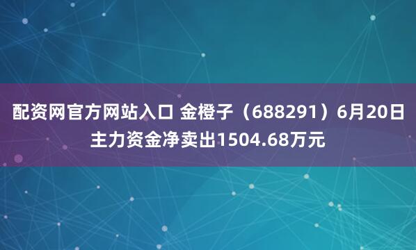 配资网官方网站入口 金橙子（688291）6月20日主力资金净卖出1504.68万元