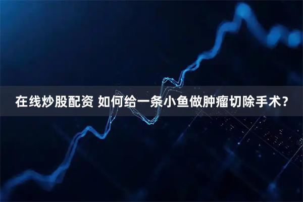 在线炒股配资 如何给一条小鱼做肿瘤切除手术？
